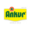 amber protein industries ltd 