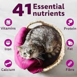 Whiskas Dry Cat Food, Chicken Flavour, 1+ Years (Pack)