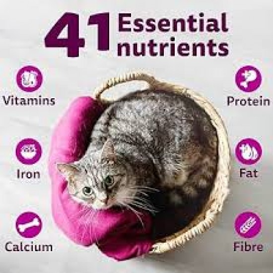 Whiskas Dry Cat Food, Chicken Flavour, 1+ Years (Pack)