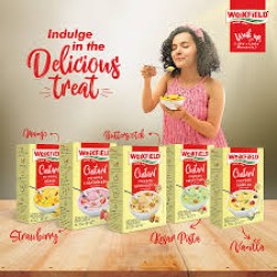 Weikfield Vanilla Flavor Custard Powder (Pack)